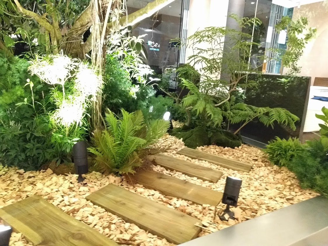 办公绿植租赁