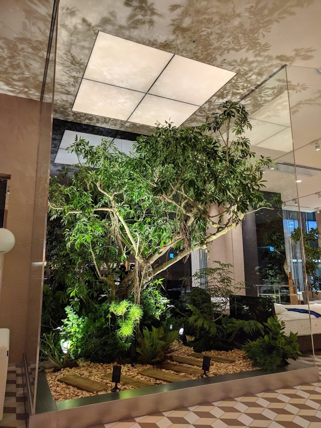 办公租植物