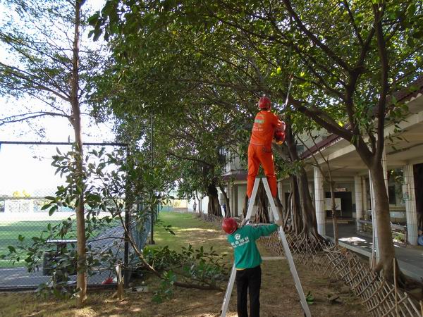 绿化养护公司如何尽进行工程计算？